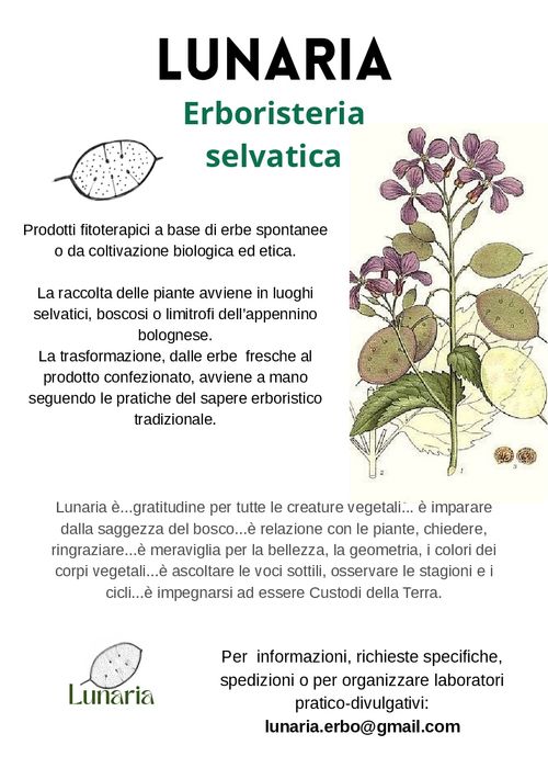 SPACCIO POPOLARE AUTOGESTITO