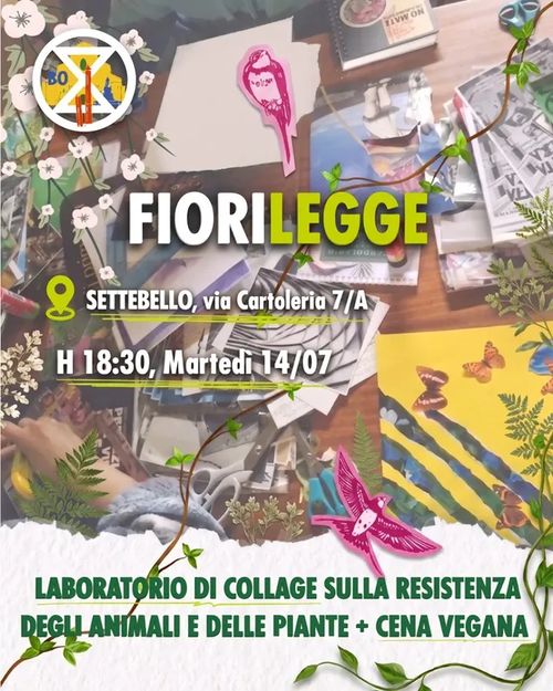 Fiorilegge
