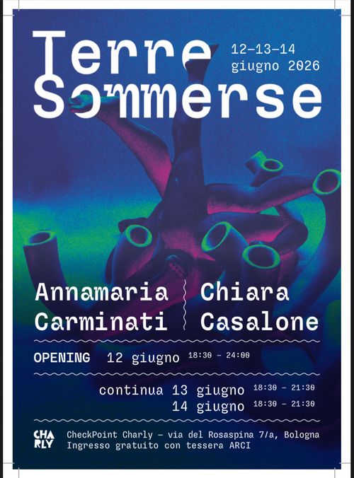TERRE SOMMERSE - mostra