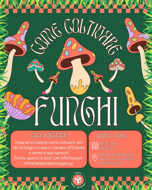 COME COLTIVARE FUNGHI