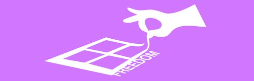 Fuga da Windows10, Installation Party