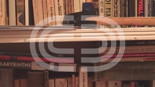 Sul testimoniare femminista, il fascismo e la "cancel culture" – Workshop con Erica Lagalisse