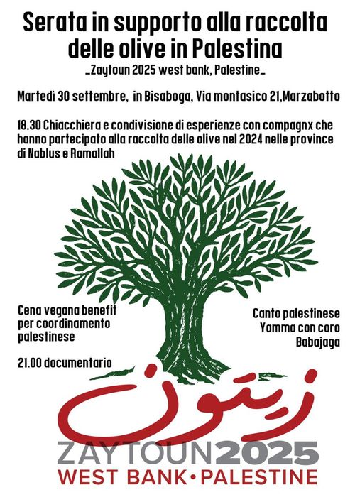 ZAYTOUN 2025
