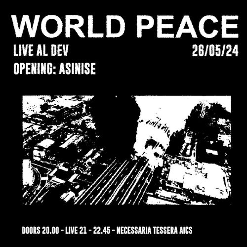 WORLD PEACE / ASININE live