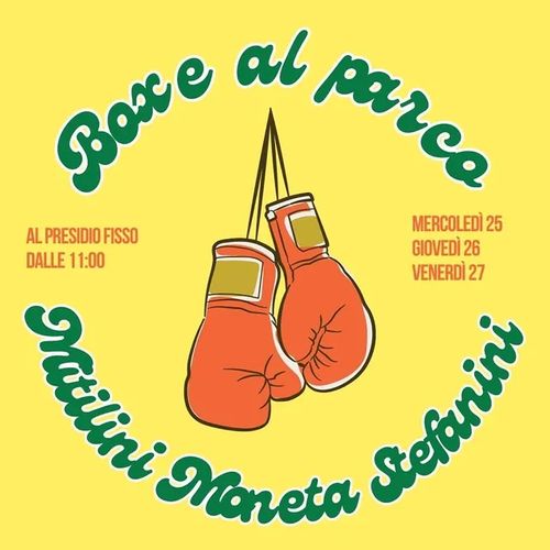 Allenamento aperto di boxe