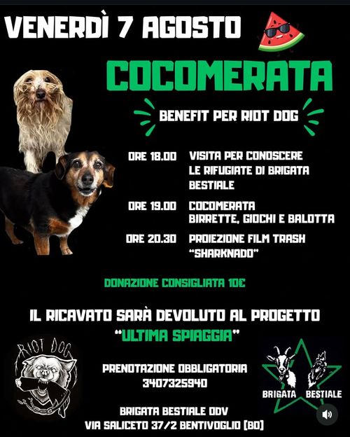 Cocomerata & Cinema Benefit per Riot Dog