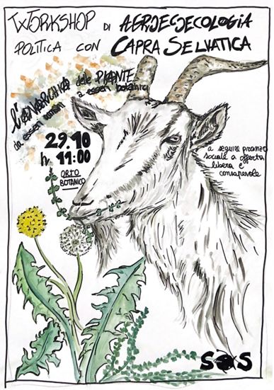 L’Anarchia delle piante: da esseri umani a esseri botanici