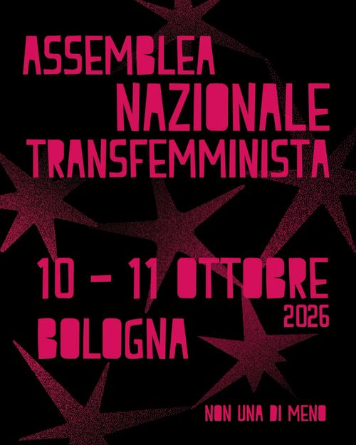 Assemblea nazionale transfemminista