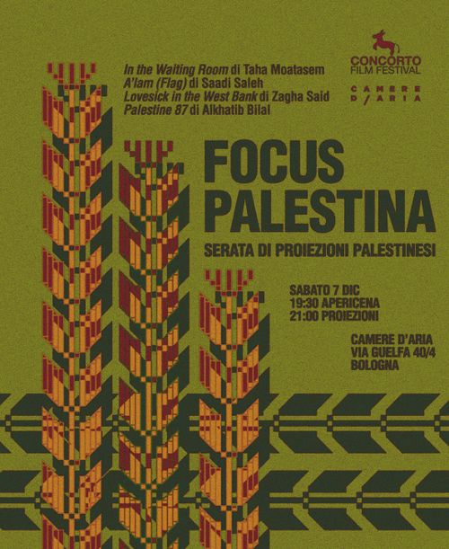 FOCUS PALESTINA l CONCORTO ON TOUR