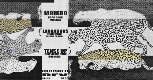 JAGUERO / LABRADSORS / TENSE UP