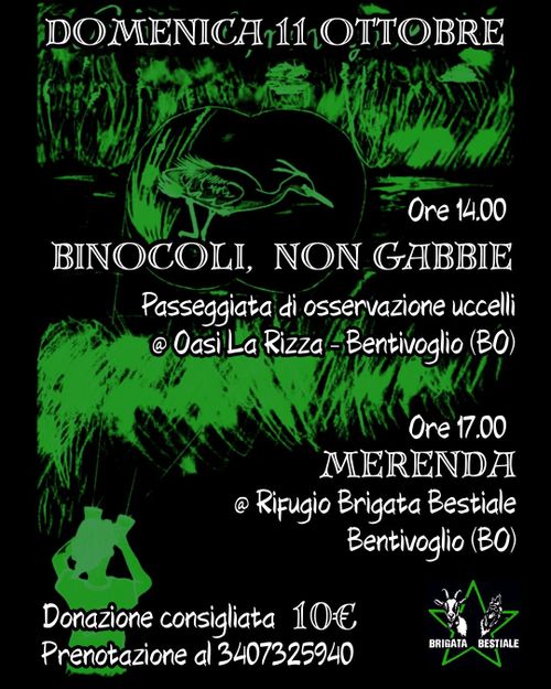 Binocoli, non gabbie!