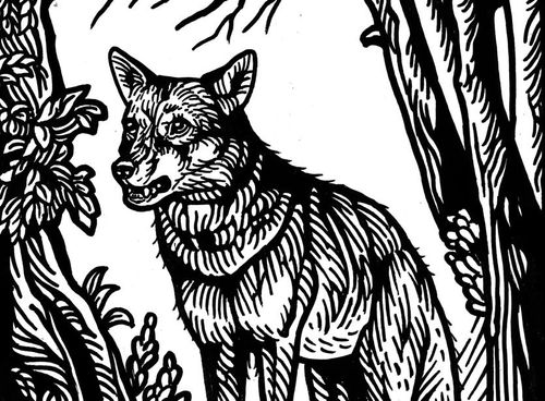 L’ultimo lupo di Strabatenza 