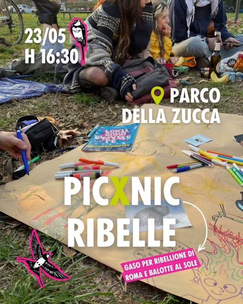 Picxnic ribelle
