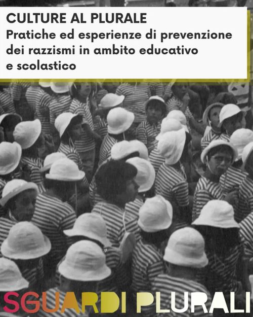Culture al plurale