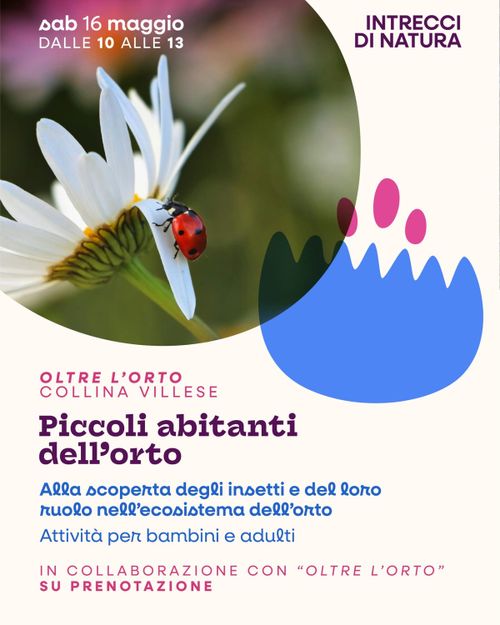 PICCOLI ABITANTI DELL’ORTO - Alla scoperta degli insetti e del loro ruolo nell’ecosistema