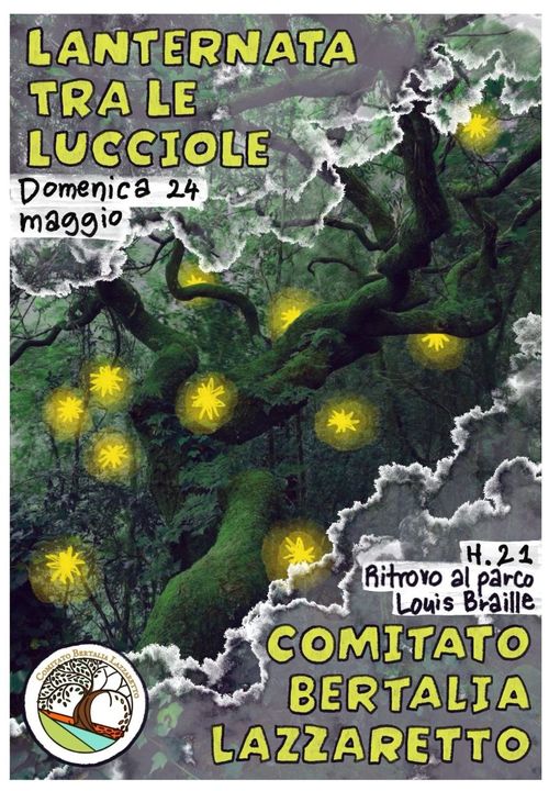 Lanternata tra le lucciole