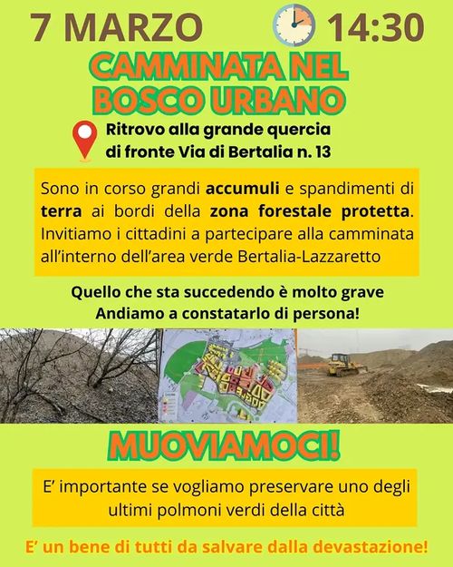 Camminata nel bosco urbano