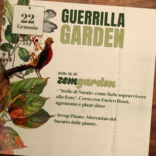 Guerrilla Garden - “Stelle di Natale: come farle sopravvivere alle feste!”